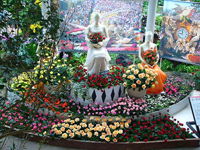 アイランド 『花どんたく』_a0042310_1846387.jpg