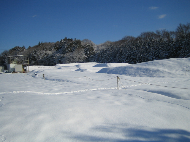 ここは富良野か？_e0069415_12152669.jpg