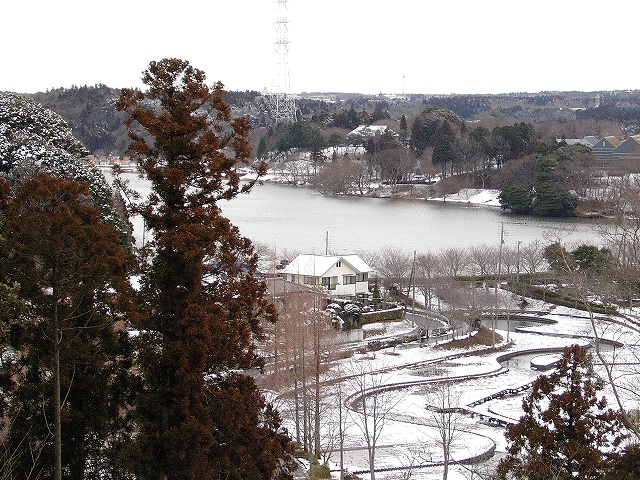 雪・袖ヶ浦公園_c0046131_12541210.jpg