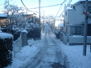 b0040332_835314.gif
