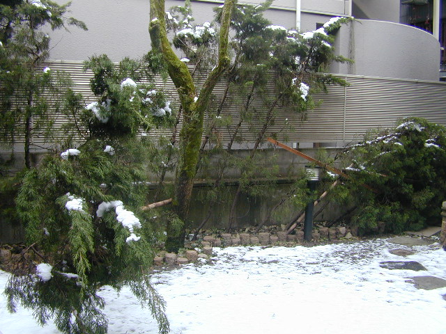 e0005545_12165623.jpg