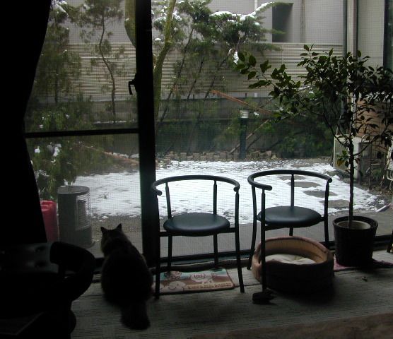 e0005545_1223483.jpg