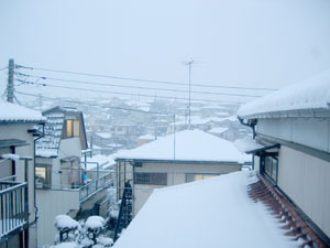 f0041351_1374620.jpg