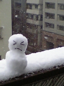 06.01.21 大雪でした。再び。_e0038558_218092.jpg