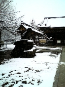 雪化粧_b0020862_095915.jpg