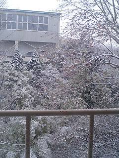 1月21日 銀世界！_b0063162_135401.jpg