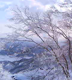 f0036263_2324992.jpg