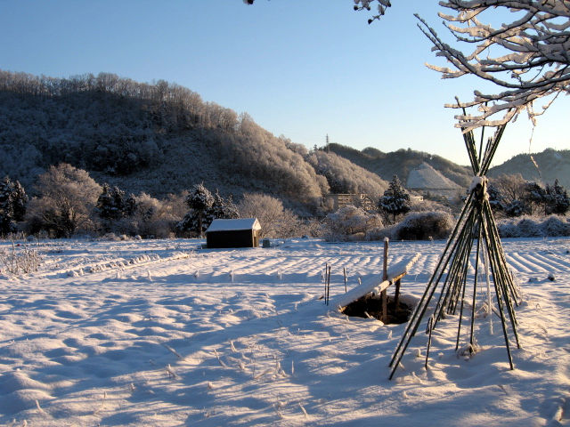 ■快晴の雪景色２_f0015474_953811.jpg