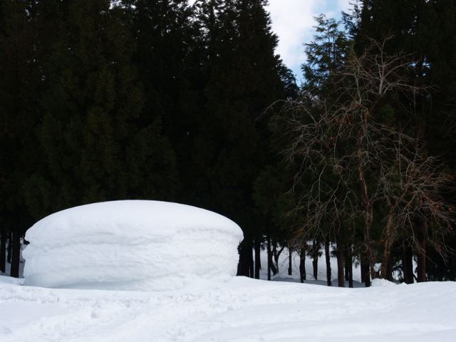 a0025576_21175983.jpg