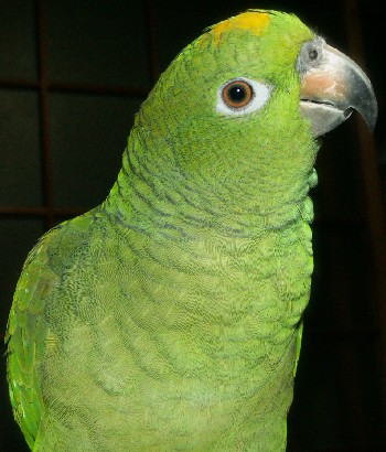 f0015287_3155129.jpg