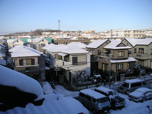 b0005596_828875.jpg