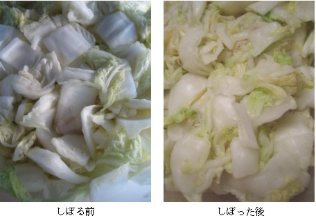 我が家のキムチ_c0071305_1462448.jpg