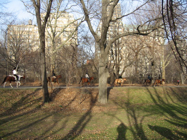 f0036409_9495942.jpg