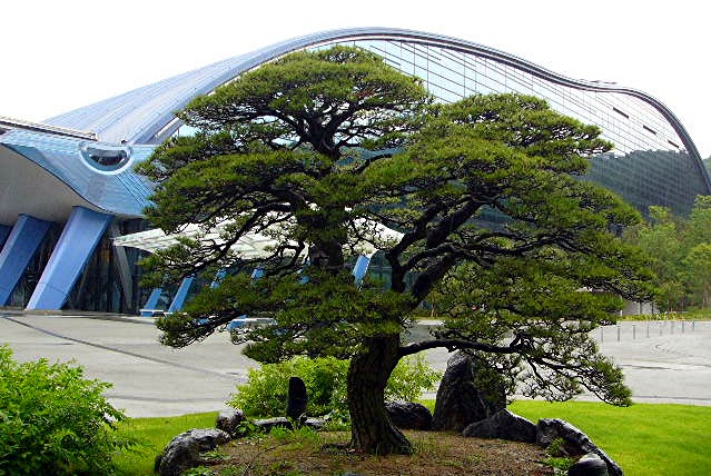 九州国立博物館(福岡県 太宰府市)_a0042310_2026206.jpg