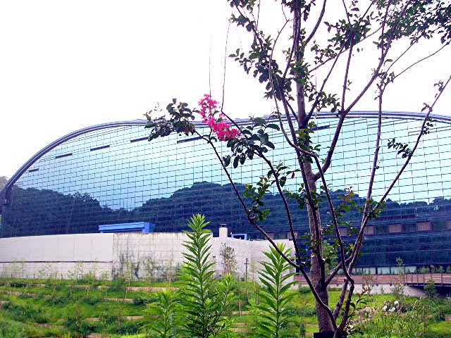 九州国立博物館(福岡県 太宰府市)_a0042310_20401362.jpg