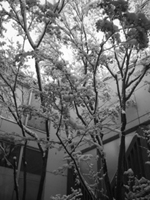 e0032514_2282017.jpg