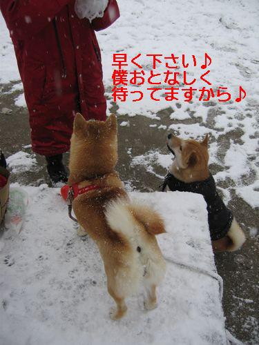 雪　三昧♪_e0085147_1071463.jpg