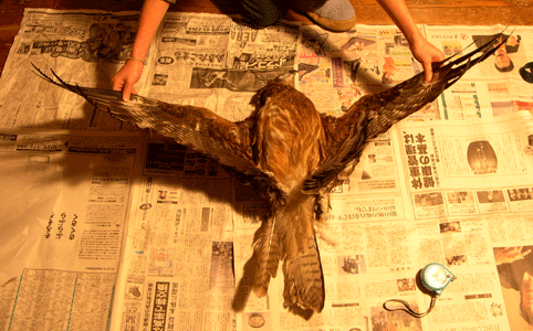 c0042548_2215774.gif
