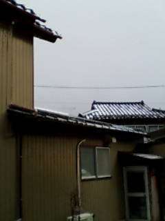 a0050055_0395753.jpg