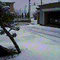 c0009461_8193895.jpg