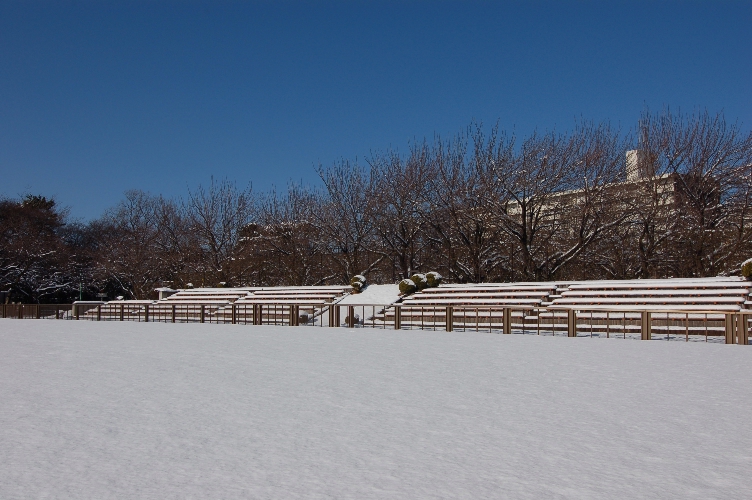 雪の馬事公苑_d0056382_1653782.jpg