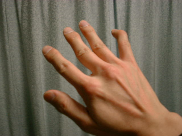 e0039088_22007.jpg