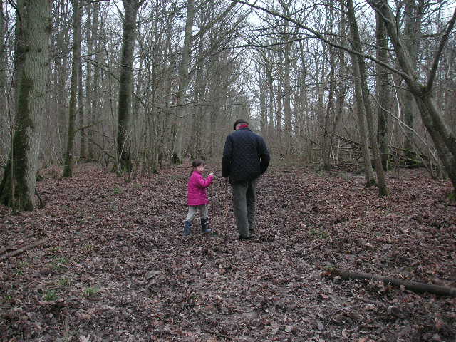 f0044892_69435.jpg