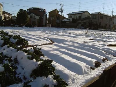 c0011204_21423741.jpg