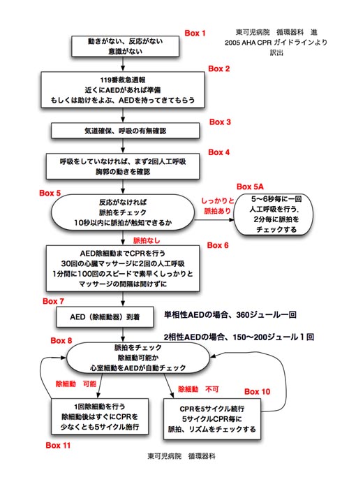 成人BLS の流れ　その1_a0055913_16314696.jpg