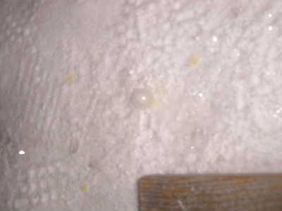 c0039813_14444673.jpg