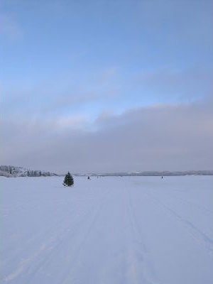 c0039813_14493022.jpg