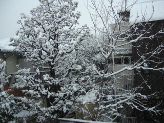 e0022166_15544384.jpg