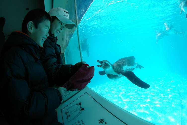 神戸王子動物園_e0079067_22323815.jpg