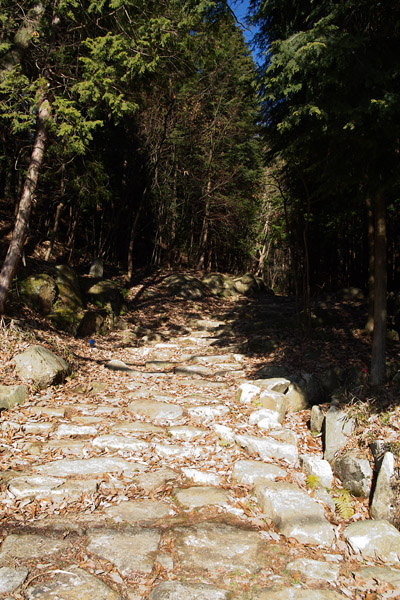 c0054876_6335413.jpg
