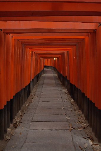 初詣 ~八坂神社&伏見稲荷大社~_e0051888_9443869.jpg