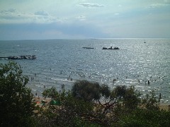 c0053898_981844.jpg