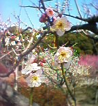 f0052603_2136689.jpg
