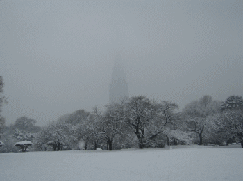 d0014408_14393642.gif