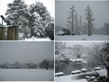 d0014408_14394160.gif