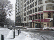 d0014408_14394797.gif