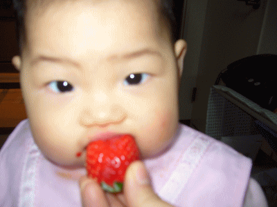 e0047610_18404429.gif