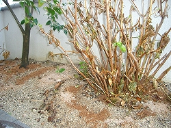 f0035210_1946719.jpg