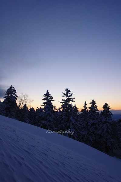 c0073613_038595.jpg