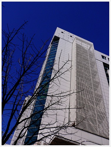 c0042324_9215379.jpg