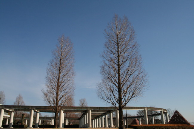 f0017530_23174872.jpg