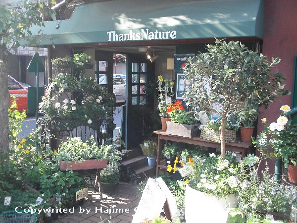 自由が丘のガーデニング用品店 サンクスネイチャー Thanks Nature 本店 大江戸一 おおえどはじめ のマーケットクリップ 自由が丘のガーデニング用品店 サンクスネイチャー Thanks Nature 本店 大江戸一 おおえどはじめ のマーケットクリップ