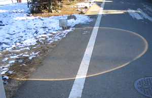 f0038336_834627.jpg
