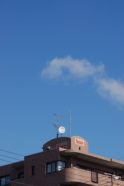 D50+Ai AF Zoom Nikkor 35-80mm F4-5.6D (2)_c0050163_1151853.jpg