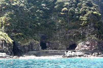 a0045381_0313437.jpg