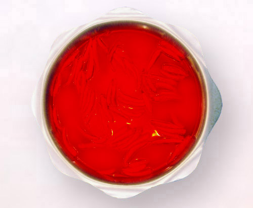 e0094583_15183669.jpg